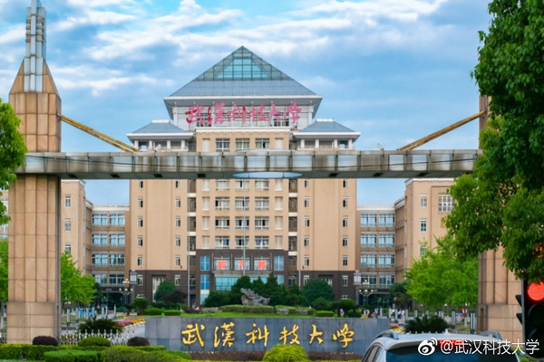 Universidade de Ciência e Tecnologia de Wuhan